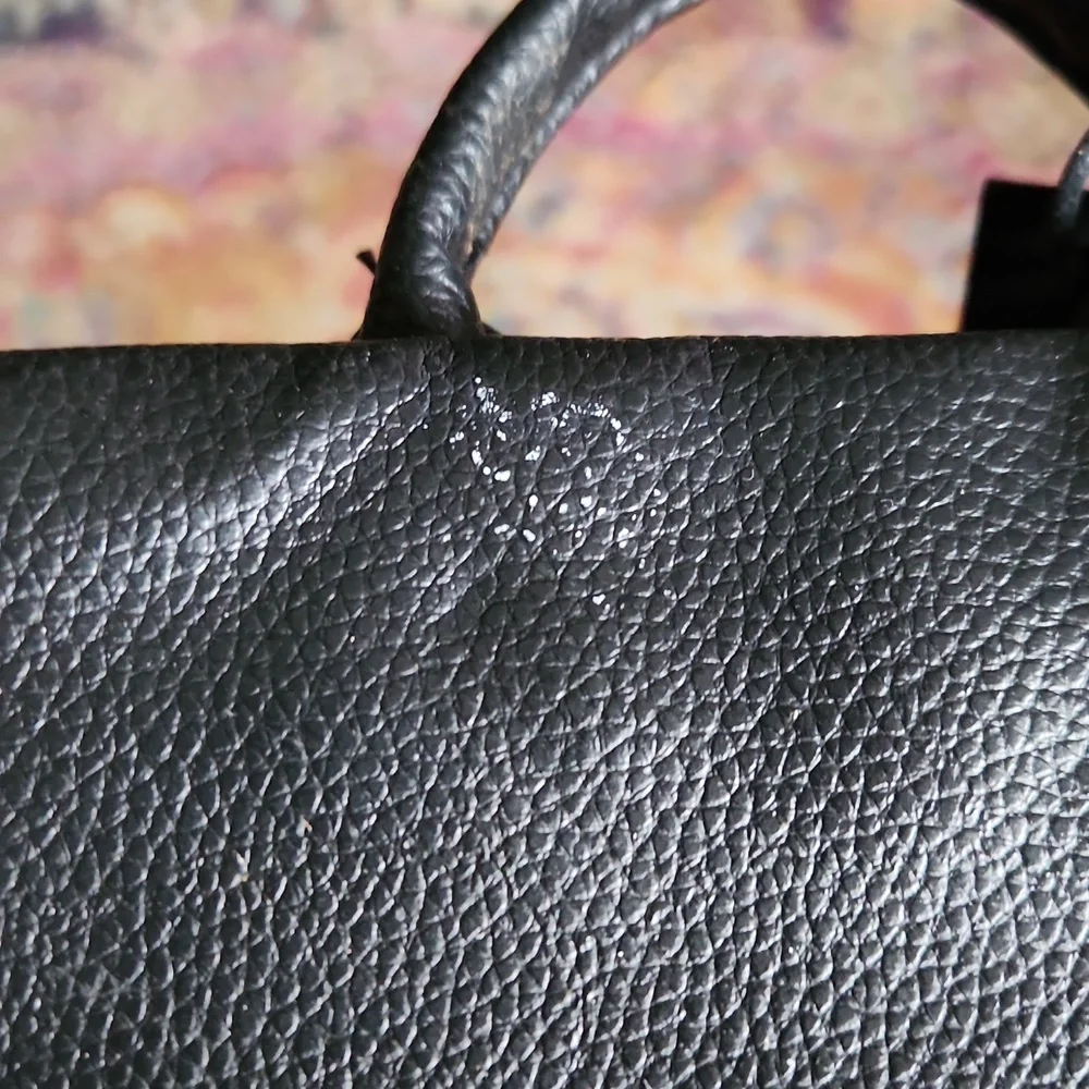 Botkier New York bagpack